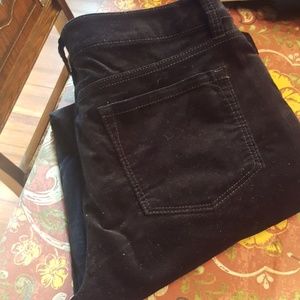 Loft modern straight black corduroy pant